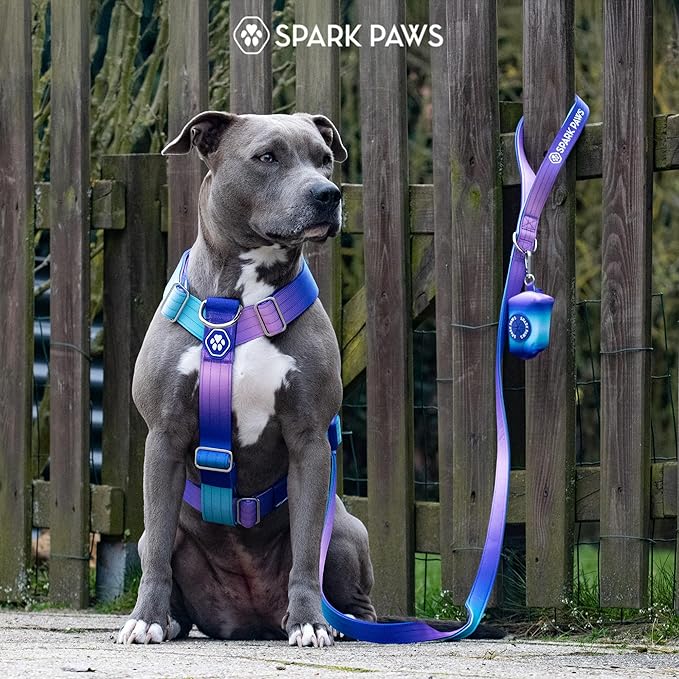 Spark Paws No Pull Dog Harness for Large Dogs, Heavy Duty Dog Harness for Big Strong Breeds, Adjustable, Y Shaped Padded Halter Design with Front Clip - 90s Retro – L