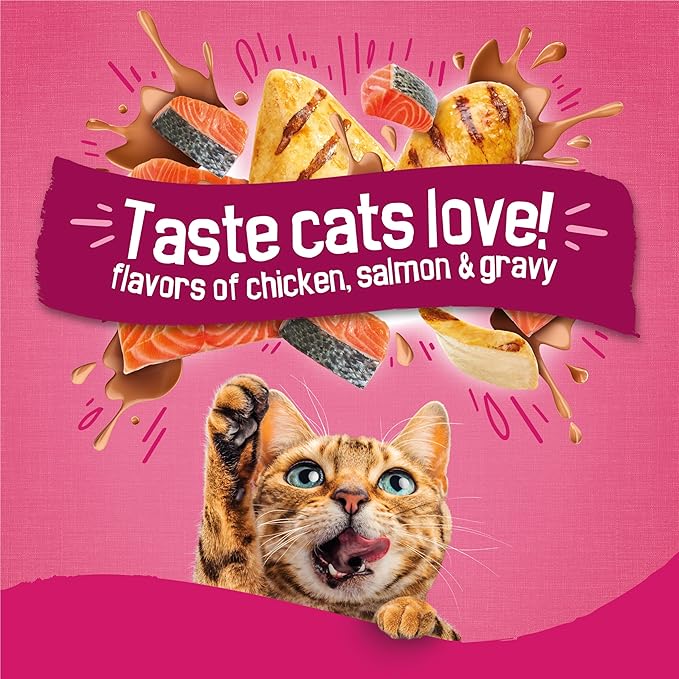 Purina Friskies Gravy Swirlers with Flavors of Chicken, Salmon and Gravy Dry Cat Food - 16 Lb. Bag