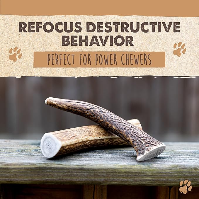 Mighty Paw Split Elk Antlers for Dogs (Sourced in The USA) | 2 Whole Medium 6"+ Long Lasting Bones for Aggressive Chewers - Naturally Shed Split Deer Antler for Dogs - Low Odor Chews (Pack of 2)