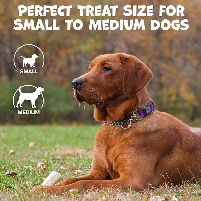 Whole Deer Antlers for Dogs - Long Lasting Chews for Aggressive Chewers - Single Ingredient Odorless Treats for Small & Medium Dogs - 4-5" (3ct)