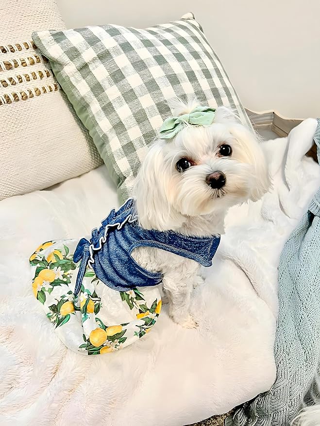 Fitwarm Lemon Denim Dog Dress, Dog Clothes for Small Dogs Girl, Pet Cat Outfit, Blue, White, Yellow, Green, XXS