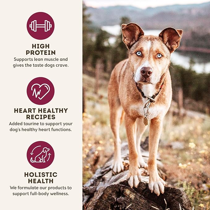 Only Natural Pet MaxMeat Holistic Air Dried Dry Dog Food - All Natural, High Protein, Grain Free and Limited Ingredient - Made with Real Meat - Chicken with Pumpkin & Parsley 2 lb