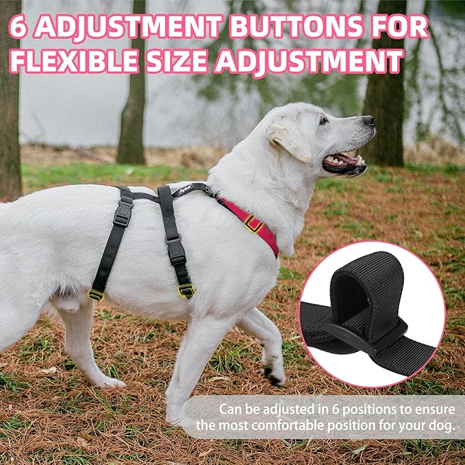 PUPTECK Escape Proof Dog Harness - No Pull Soft Padded Full Body Pet Halter Harness with Lift Handle for Small Medium Large Doggies Walking Hiking Hunting, Deep Pink & Black, M