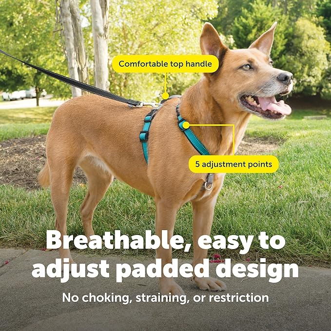 PetSafe 3 in 1 No-Pull Dog Harness for Medium Dogs - Walk, Train or Travel - Helps Pets from Pulling on Walks - Seatbelt Loop Doubles as Quick Access Handle - Reflective - Medium, Teal