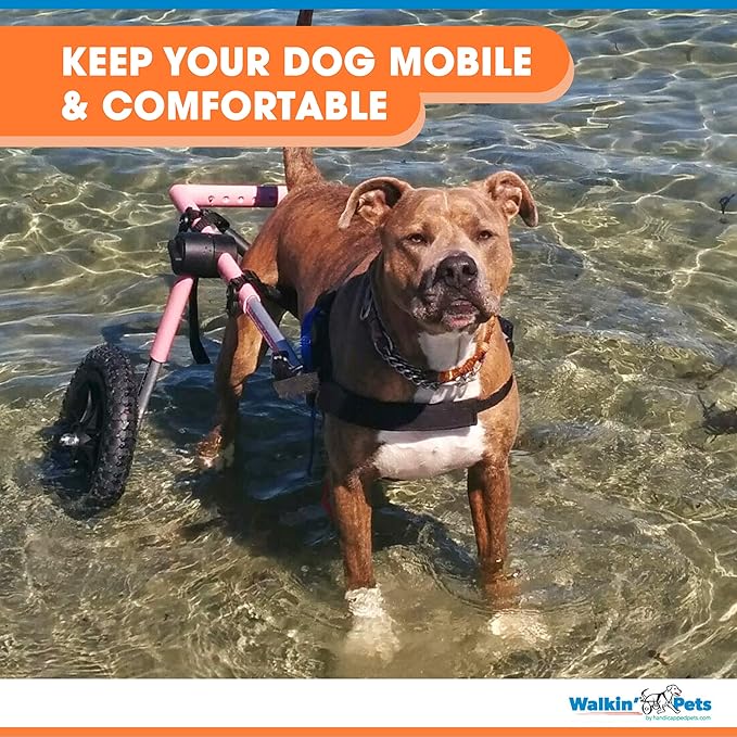 Walkin' Wheels Large Dog Wheelchair, Lightweight Dog Wheelchair for Back Legs, 70-180 lbs, for 17-19 inches Leg Height - Pink