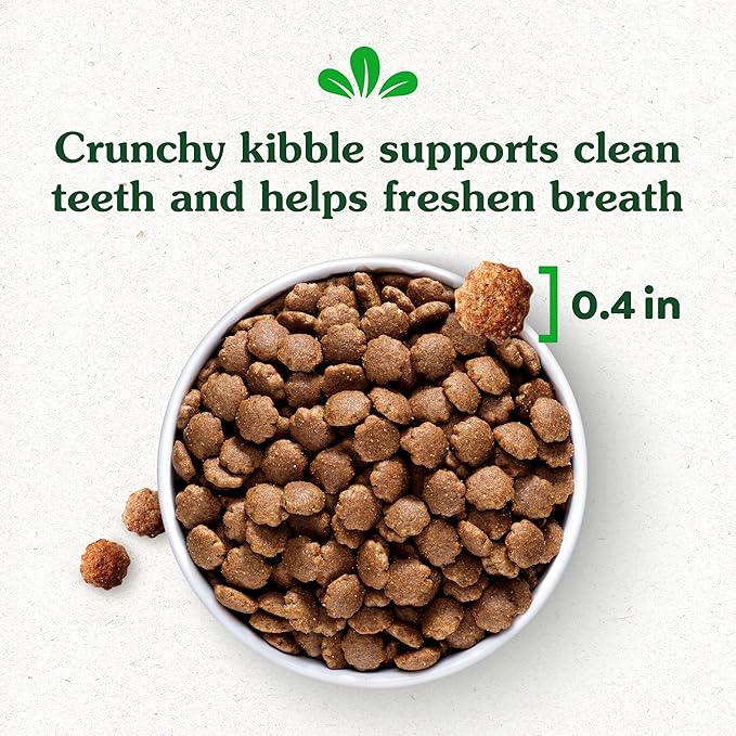 Greenies Smart Essentials Small Breed Adult High Protein Dry Dog Food Real Chicken & Rice Recipe, 27 lb. Bag