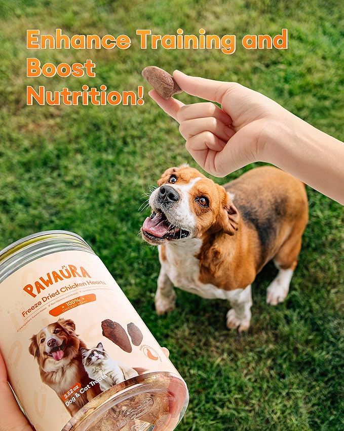 Freeze-Dried Chicken Hearts Cat & Dog Treats, 3.52 oz — High Protein, Single Ingredient, Grain Free, No Additives or Preservatives, Sealed Box