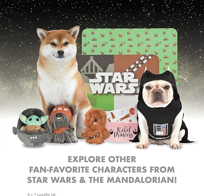 Star Wars The Mandalorian This is The Way Dog Leash - Cute Dog Lead Easily Attaches to Any Collar or Harness - Officially Licensed Pet Walking Leash, 4 Foot (48 Inch) (Pack of 2)