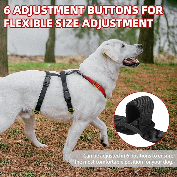 PUPTECK Escape Proof Dog Harness - No Pull Soft Padded Full Body Pet Halter Harness with Lift Handle for Small Medium Large Doggies Walking Hiking Hunting, Red & Black, M
