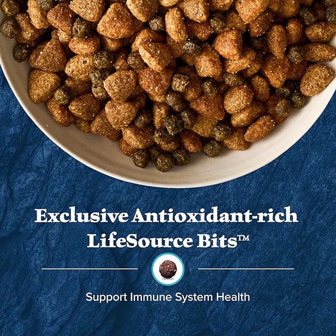 Blue Buffalo Wilderness Adult High-Protein Dry Dog Food Natural Salmon with Wholesome Grains