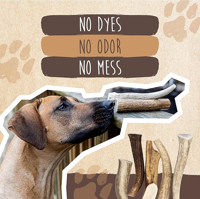 Mighty Paw Split Elk Antlers for Dogs (Sourced in The USA) | 2 Whole Monster 8"+ Long Lasting Bones for Aggressive Chewers - Naturally Shed Split Deer Antler for Dogs - Low Odor Chews (Pack of 2)