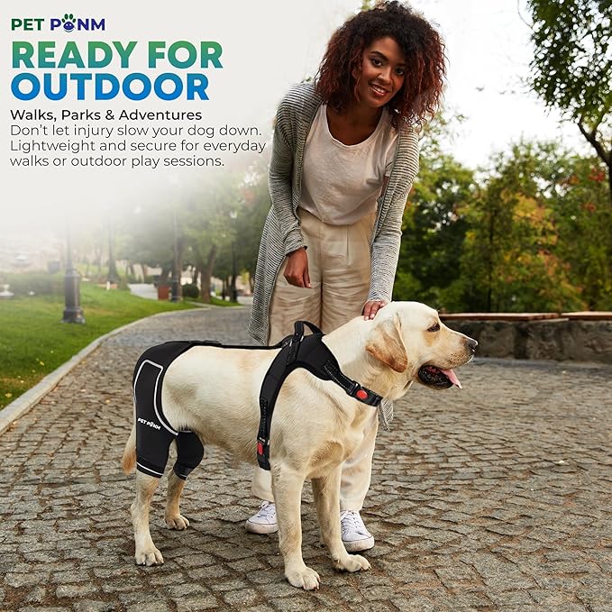 Petpanm- Adjustable Dog Knee Brace- Right Hind Leg with Integreted Harness- Premium Support for Torn ACL, Sprains & Strains Recovery, Enhances Mobility, Comfortable Neoprene. (Medium)