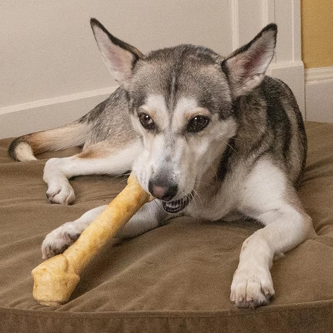 Fieldcrest Farms Nothin’ to Hide Ultra Knotted Bones – Collagen-Based Rawhide Alternative Dog Chews, Chicken Flavor, Highly Digestible for Aggressive Chewers up to 35 lbs, 9-Inch, 2 Pack