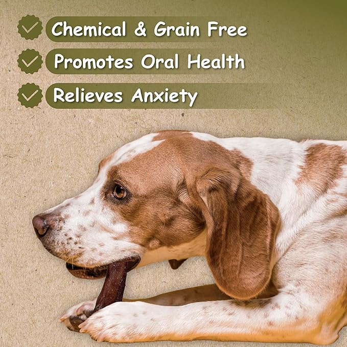 Top Dog Chews- 12 Inch Odor-Free Bully Sticks, 100% Natural Angus Beef, Free Range, Grass Fed, High Protein, Supports Dental Health & Easily Digestible, Thick Dog Treat, 24 Pack