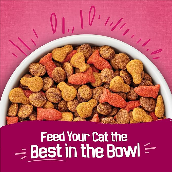 Purina Friskies Gravy Swirlers with Flavors of Chicken, Salmon and Gravy Dry Cat Food - 16 Lb. Bag