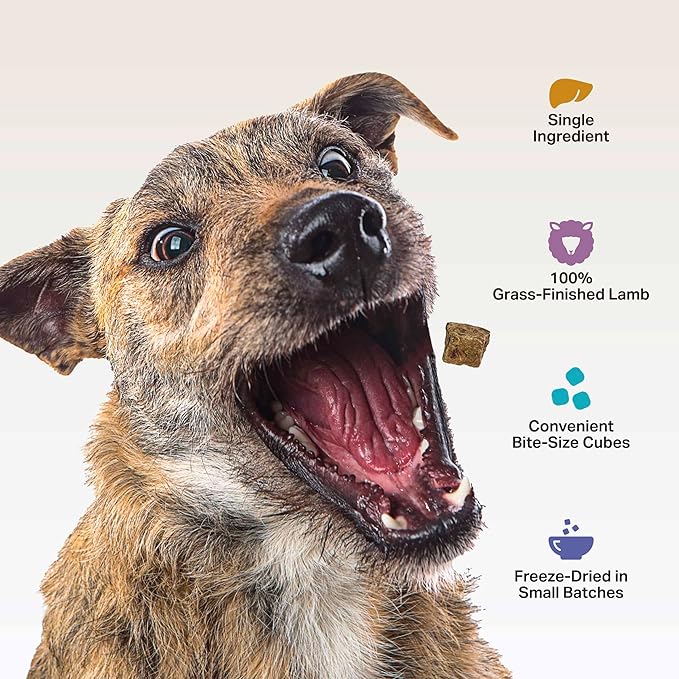 FOUR LEAF ROVER Beef Heart Dog Treats - Grass Finished New Zealand Beef Heart - Raw Freeze Dried Single Ingredient, No Additives - Made in USA - 4 Oz Bag