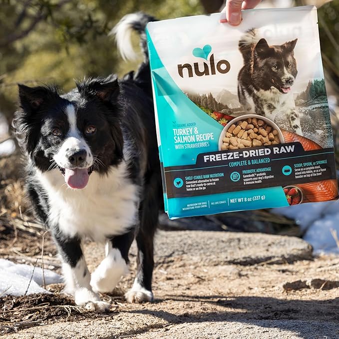 Nulo Freeze-Dried Raw Turkey & Salmon Recipe with Apples Complete and Balanced Dry Dog Food Kibble, 18 Ounce Bag
