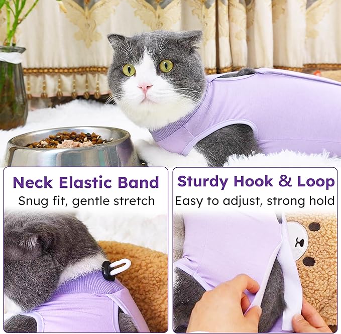 Hpetppy Cat Recovery Suit, Breathable Cat Surgery Recovery Suit Female, Cat Onesie for Cats After Surgery Spay Surgical Abdominal Wound Skin Diseases Cone of Shame Alternative Purple(M)