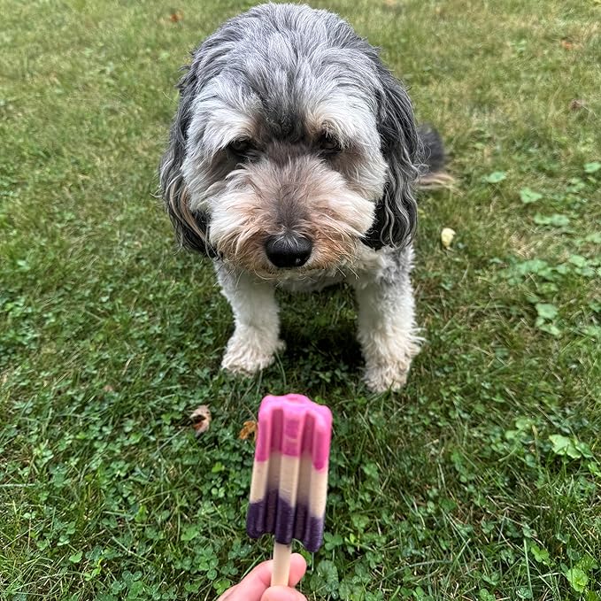 SPOT Pup Ice- Ready to Freeze at Home Dog Treats-Edible Chews for Medium Breed Dogs & Puppies with Real Chicken to Keep Your Pup Cool Year Round, Rocket Lollies Strawberry & Blueberry Flavor, 2pcs
