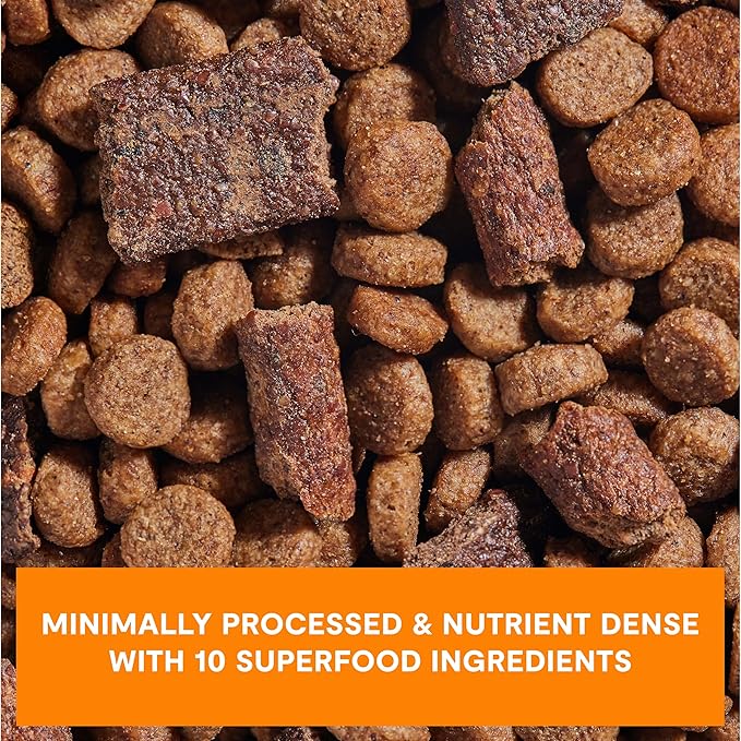 Open Farm, Epic Blend High Protein Dry Dog Food, Probiotic Coated & Bone Broth Infused Kibble with Air Dried Meat & Organs, Minimally Processed & Nutrient Dense, Chicken & Superfood Recipe, 3.5lb Bag