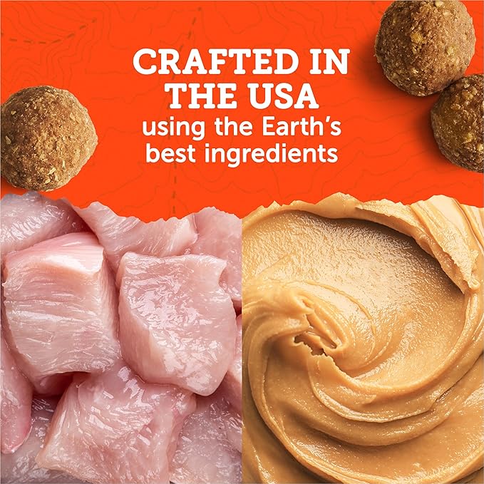 Zuke's Adventure Bites Chicken & Pumpkin Recipe Soft Dog Treats, 6 oz. Pouch