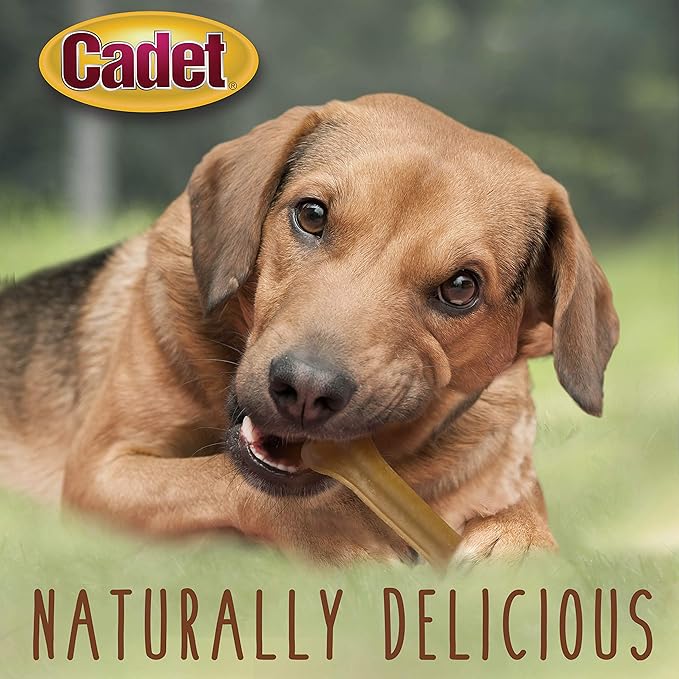 Cadet Premium Grade Pressed Beef Hide Bones, Long Lasting Rawhide Dog Chews, 6.5 Inch (12 Count)
