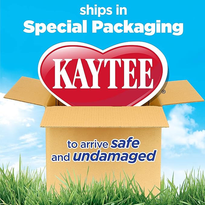 Kaytee CritterTrail Two Level Habitat for Pet Dwarf Hamsters, Gerbils or Mice