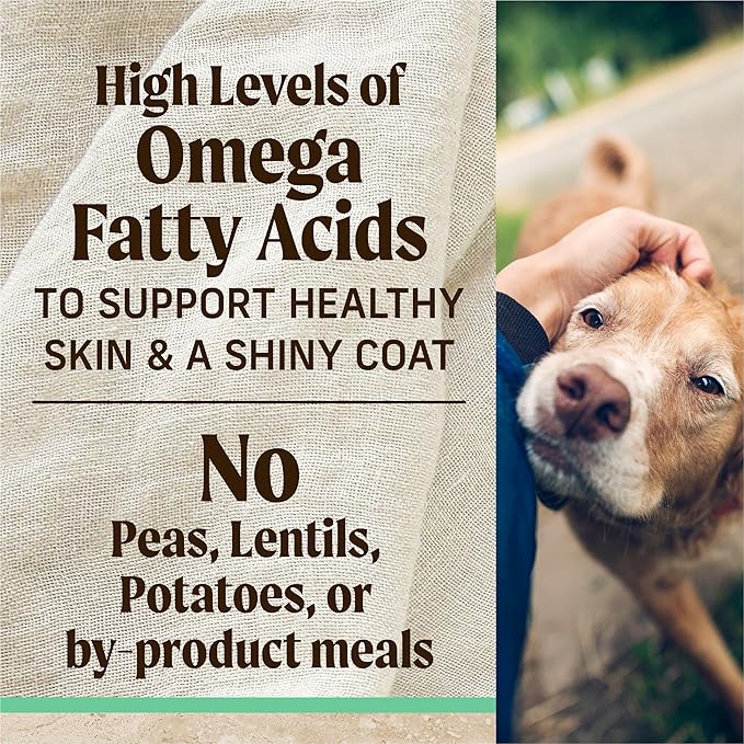 Merrick Healthy Grains Premium Dry Dog Food, Wholesome and Natural Dry Chicken Kibble, Senior Recipe - 4.0 lb. Bag