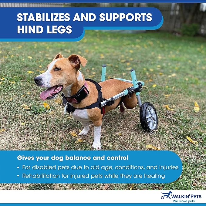 Walkin' Wheels Small Dog Wheelchair, Lightweight Dog Wheelchair for Back Legs, 15-25 lbs, for 12-15 inches Leg Height - Blue