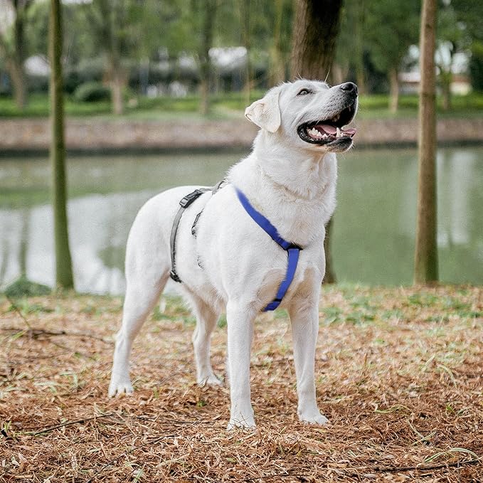 PUPTECK Escape Proof Dog Harness - No Pull Soft Padded Full Body Pet Halter Harness with Lift Handle for Small Medium Large Doggies Walking Hiking Hunting, Navy Blue & Grey, XL