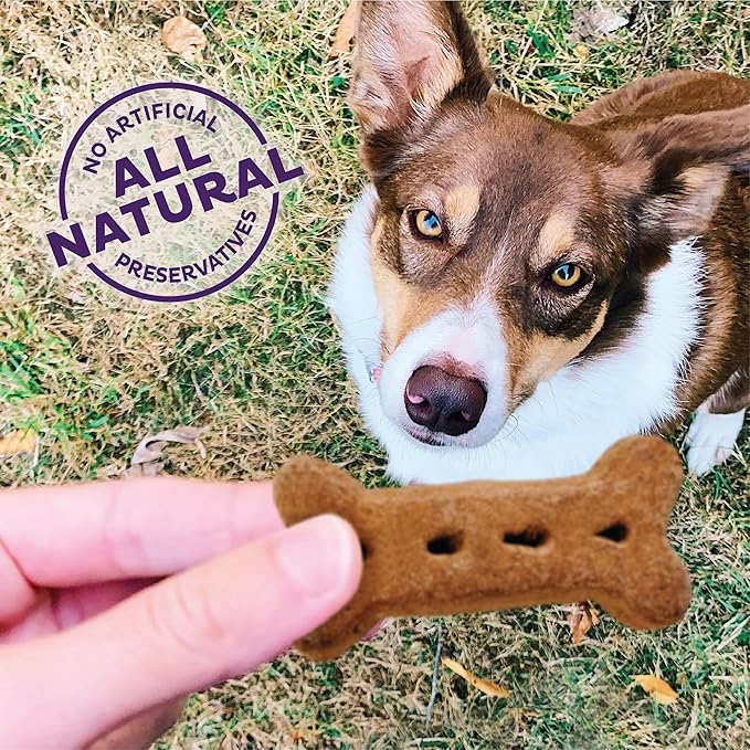 Old Mother Hubbard Wellness P-Nuttier Dog Biscuits, Natural, Training Treats, Peanut Butter Flavor, Large Size, (3.3 Pound Bag)