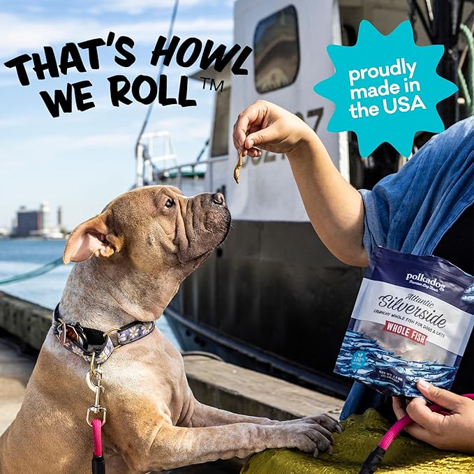 Polkadog Atlantic Silverside Whole Fish Dog Treats - All Natural, Single Ingredient Crunchy Premium Treats for Dogs, Wild Caught Fish, Great for Allergies, Handcrafted in USA - 2.5oz (1pk)