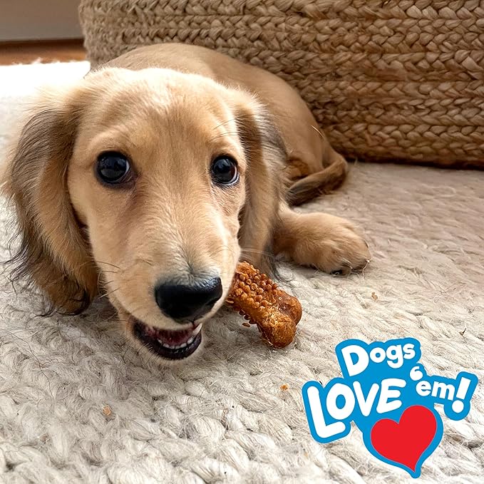 Nylabone Nubz Natural Dog Chew Treats for Puppies, Long Lasting Dog Bones Made in USA, Puppy Training Treats, Turkey & Sweet Potato Flavor, for Puppies Up to 25 lbs. (8 Count)