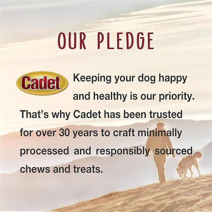 Cadet Junior Stuffed Shin Bones - Highly Digestible, High Protein, Long-Lasting Dog Chew Bone for Aggressive Chewers, Supports Dental Health, - Peanut Butter Flavor, Mini (2 Count)
