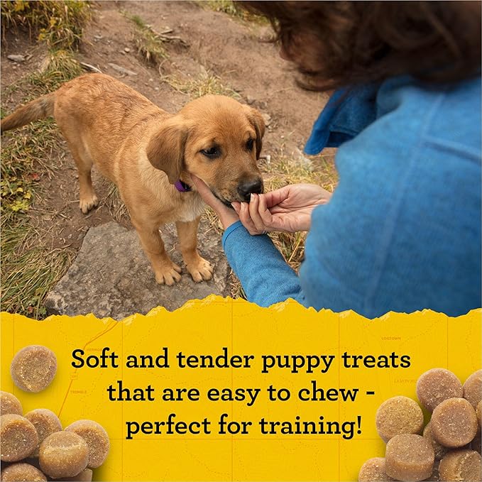 Zuke's Puppy Naturals Dog Training Treats, Pork & Chickpea Recipe, Nutrient-Rich Mini Dog Treats for Training, Grain Free Puppy Treats, 5 OZ Bag (Pack of 1)