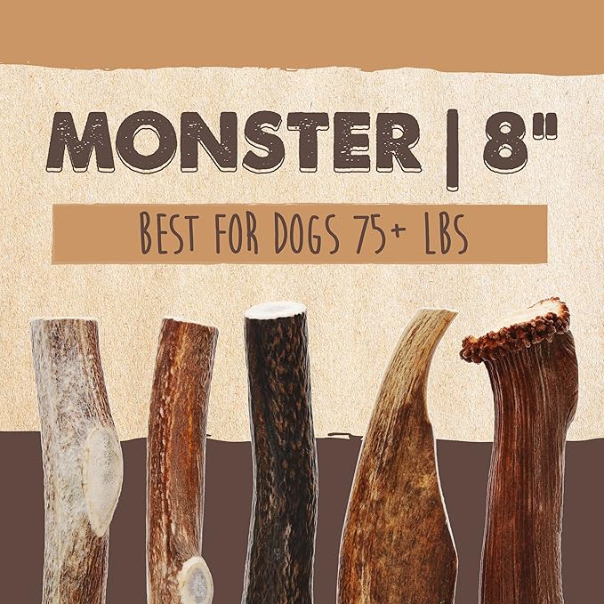 Mighty Paw Split Elk Antlers for Dogs (Sourced in The USA) | 2 Whole Monster 8"+ Long Lasting Bones for Aggressive Chewers - Naturally Shed Split Deer Antler for Dogs - Low Odor Chews (Pack of 2)