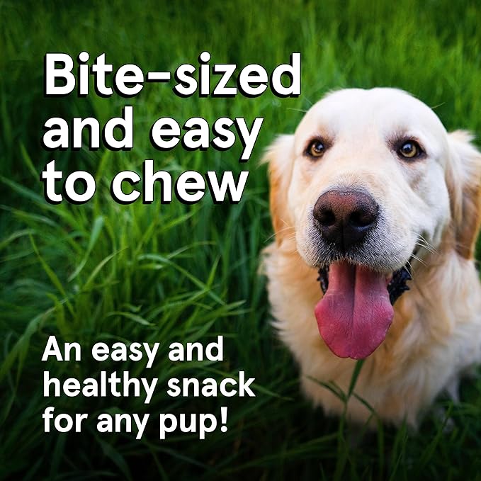 Real Meat Dog Treats - 12oz Bag of Bite-Sized Air-Dried Lamb & Venison Jerky for Dogs - Grain-Free Jerky Dog Treats With 95% Quality, Free-Range, Grass Fed Lamb & Venison - All-Natural Dog Treats