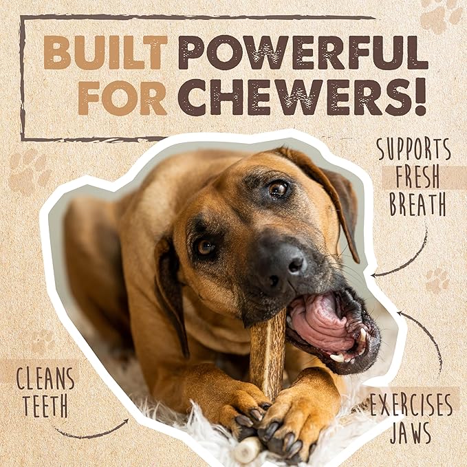 Mighty Paw Split Elk Antlers for Dogs (Sourced in The USA) | 2 Pack, Large 7"+ Long Lasting Bones for Aggressive Chewers - Naturally Shed Split Deer Antler for Dogs - Low Odor Chews