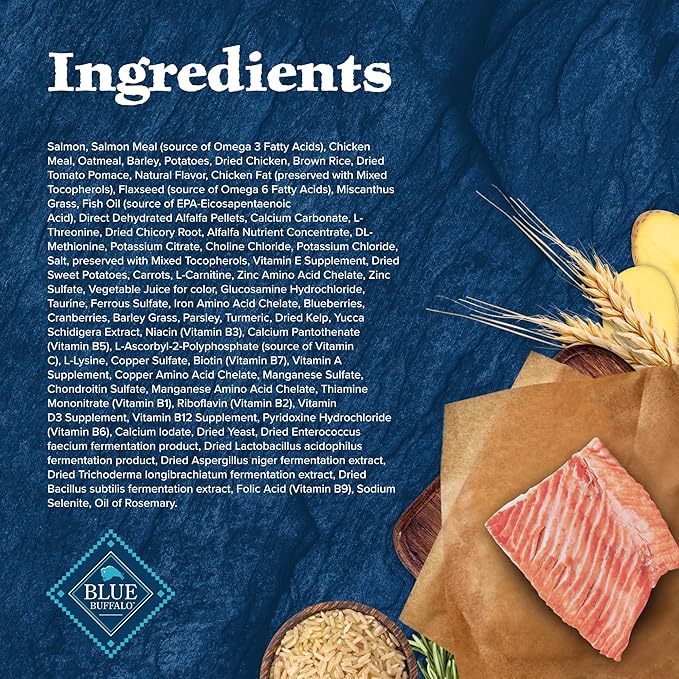 Blue Buffalo Wilderness High Protein Natural Adult Large Breed Dry Dog Food Plus Wholesome Grains, Salmon 24-lb