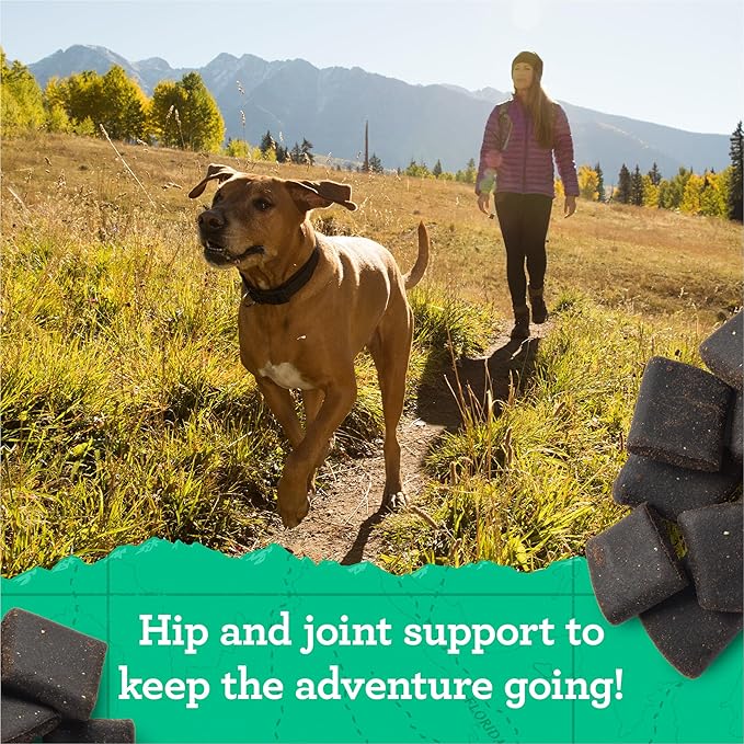 Zuke’s Hip and Joint Support Dog Treats for Adult Dogs, Senior Dog Treats Made with Real Peanut Butter and Oats, 6 oz. Resealable Pouch - 6 oz. Bag