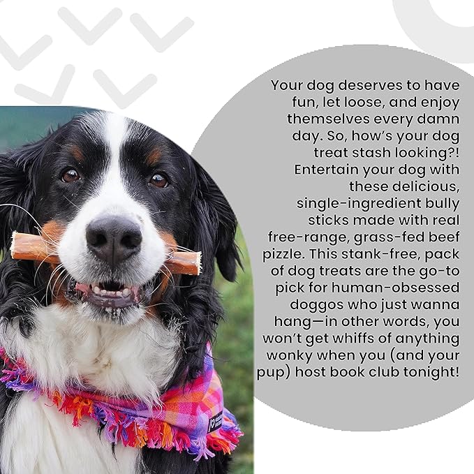 I and love and you Free Ranger No Stink! Natural Grain Free Bully Stix - Low Odor, 100% Beef Pizzle, 6-Inch, Pack of 5