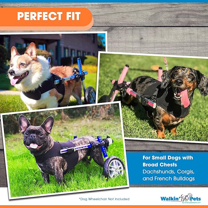 Front Dog Vest Harness | No Pull Harness | Designed for Small Dogs with Broad Chests | Compatible with Dog Wheelchair