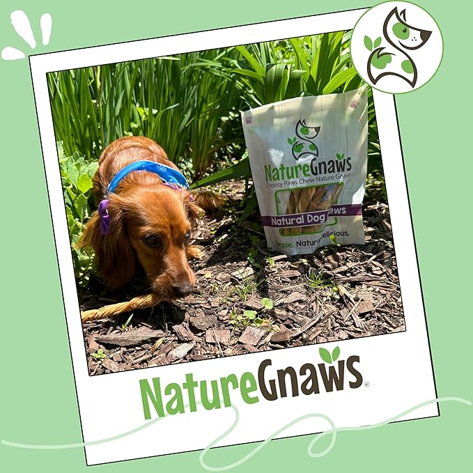 Nature Gnaws Tripe Twists for Dogs 4-5" (10 Count) - Crunchy Grain Free Reward Snack for Small, Medium & Large Breeds - Natural Beef Dog Chew Treats - Rawhide Free