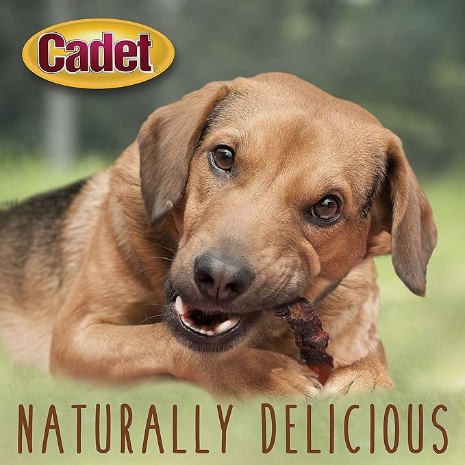 CADET GOURMET WRAPS (Duck/Sweet Potato 14 oz)