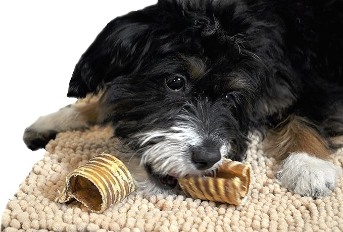 Downtown Pet Supply - Beef Trachea Dog Treats - Bully Sticks Alternative - Dog Dental Treats & Rawhide-Free Dog Chews - Glucosamine, Chondroitin, Protein, Vitamins & Minerals - 3in - 12Ct