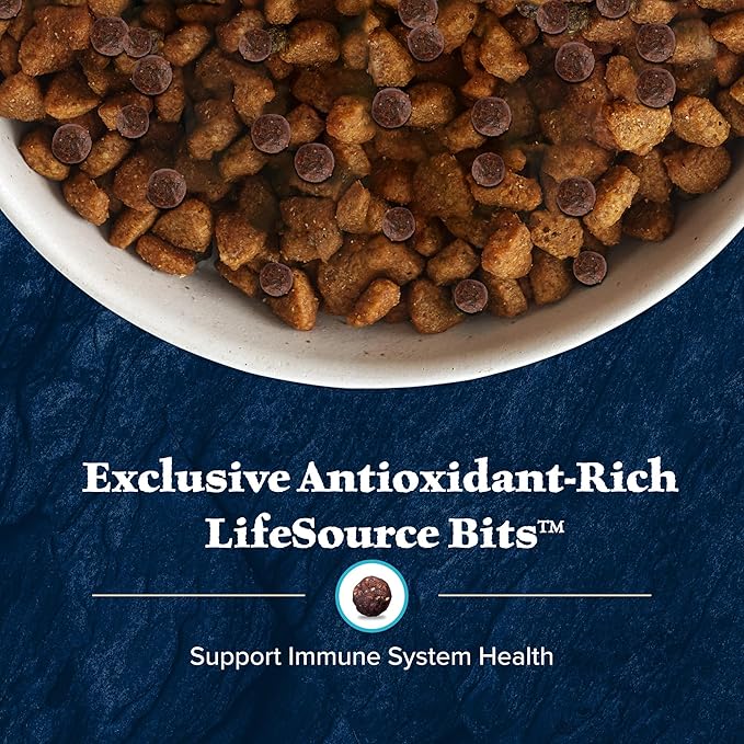 Blue Buffalo Wilderness High-Protein Natural Dry Food for Senior Dogs, Salmon Recipe, 13-lb. Bag