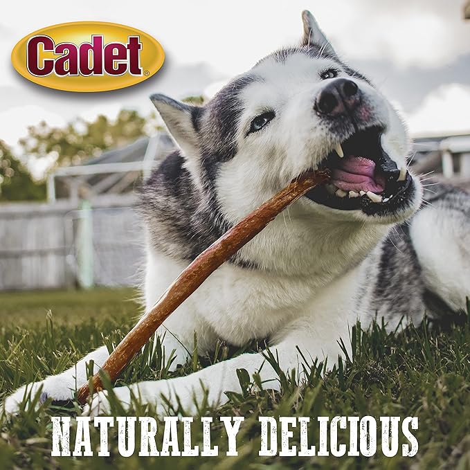 Cadet Bully Hide Sticks for Large Dogs, All-Natural Beef Pizzle, Limited-Ingredient Long-Lasting Dog Chews for Aggressive Chewers, 7 Count