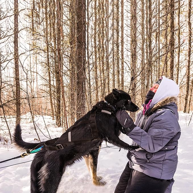 Dog Pulling Harness (L, Black) X Back Mushing Husky Harness for Sled Exercise, Pet Sledding, Bikejoring, Skijoring, Running, Canicross Scootering, for Average Sized Dog About 45-50LBS