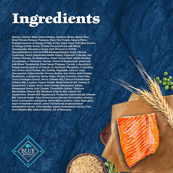 Blue Buffalo Wilderness High-Protein Natural Dry Food for Senior Dogs, Salmon Recipe, 13-lb. Bag