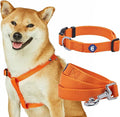 Blueberry Pet Essentials Matching Dog Collar Leash Harness Set in Orange Vermilion, Adjustable Classic Solid Color Nylon Collar with Harness & 5 ft Leash for Small Dogs